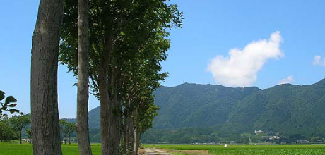 UD21にいがたとは